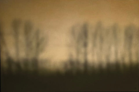 Landschaft mit Bäumen